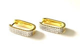 Janelle Large CZ Rounded Rectangle Earrings